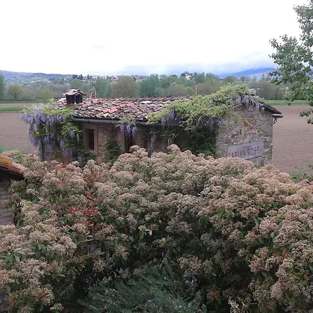 Kır Evi Podere Casina Rossa Poppi