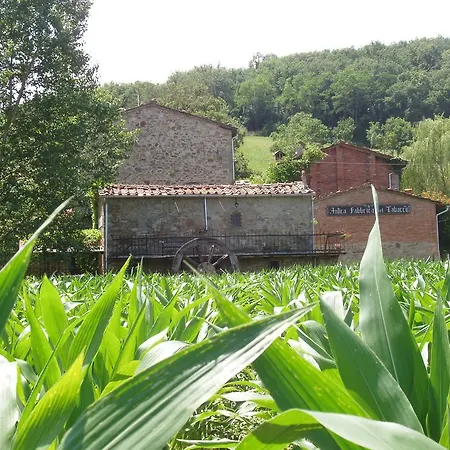 Kır Evi Podere Casina Rossa Poppi