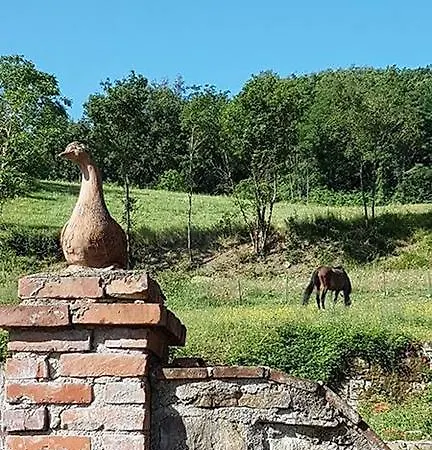 Country house Podere Casina Rossa