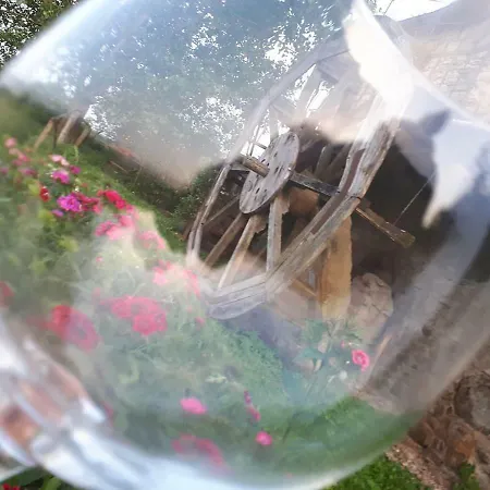 Podere Casina Rossa Kır Evi Poppi